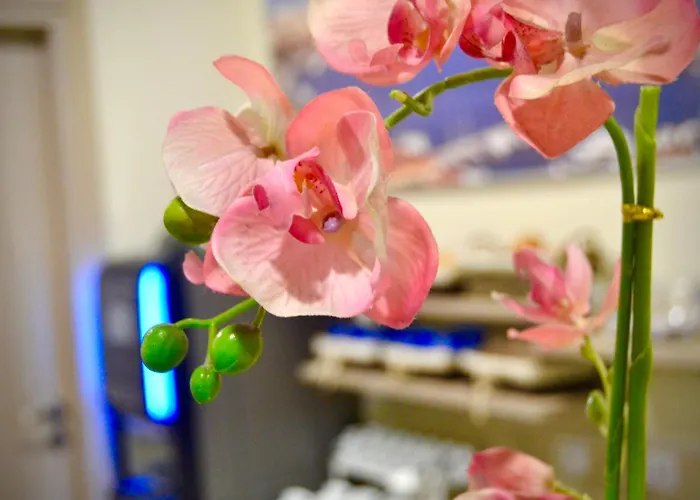 Colombo Отель 3*